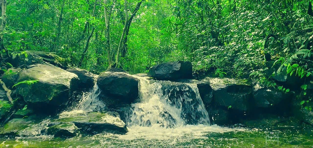 Phamthithuy6970