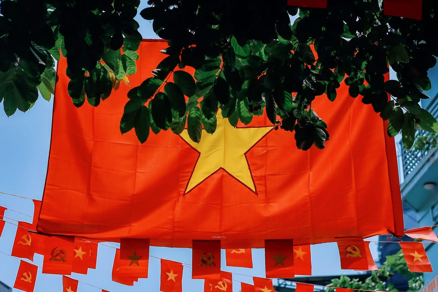 quynhchau225