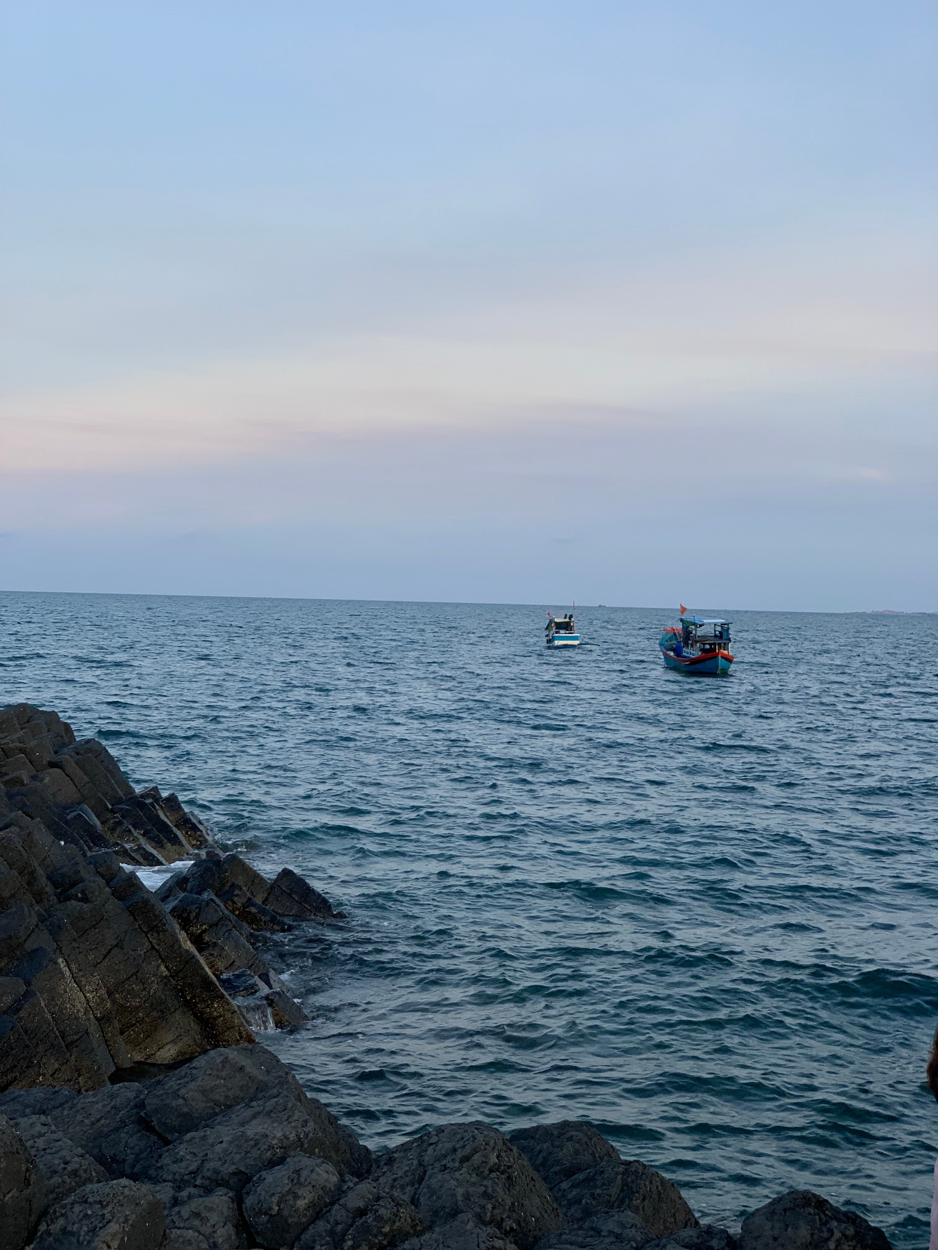 Đào Tuấn