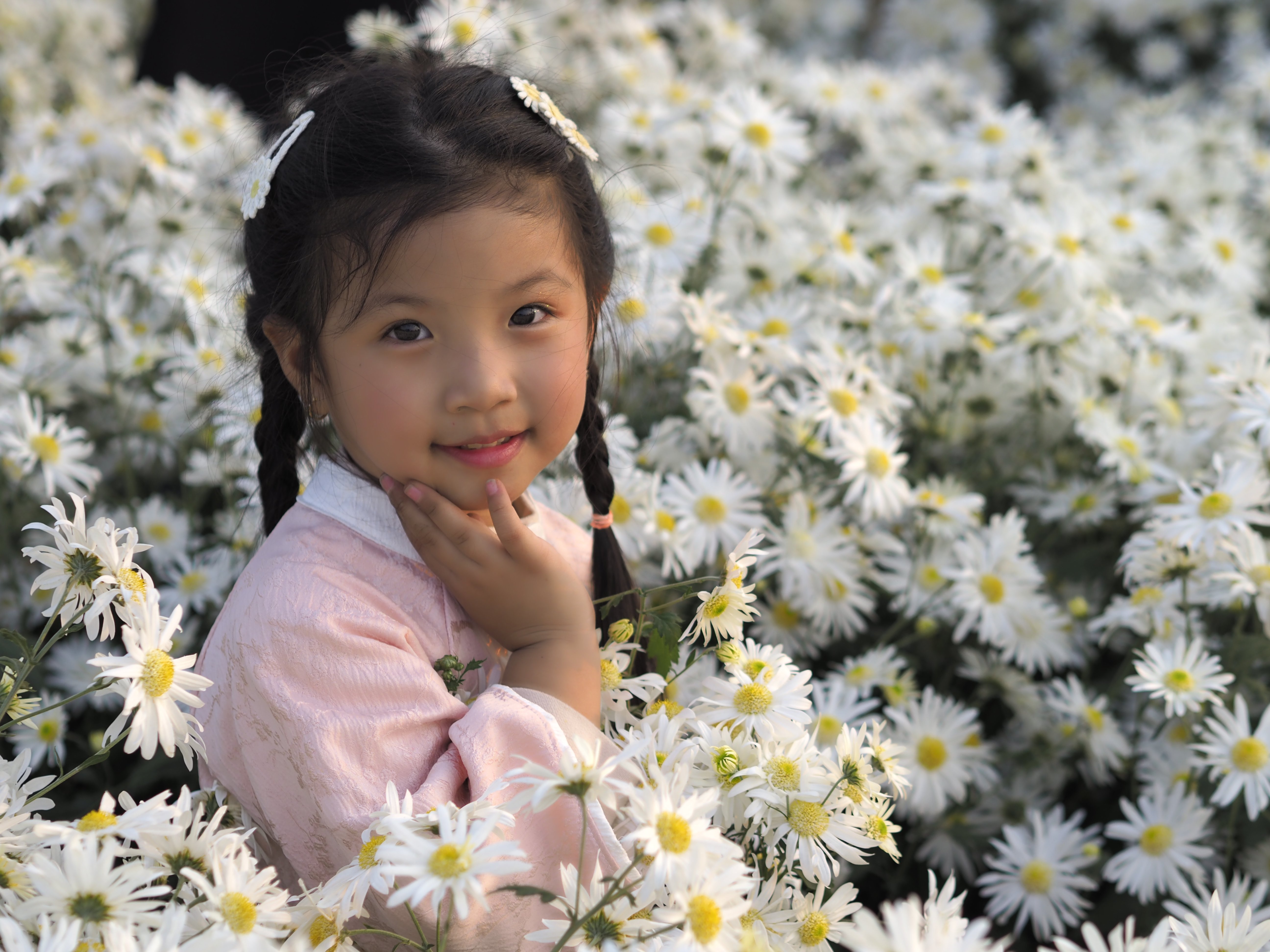 Hoạ mi nhí