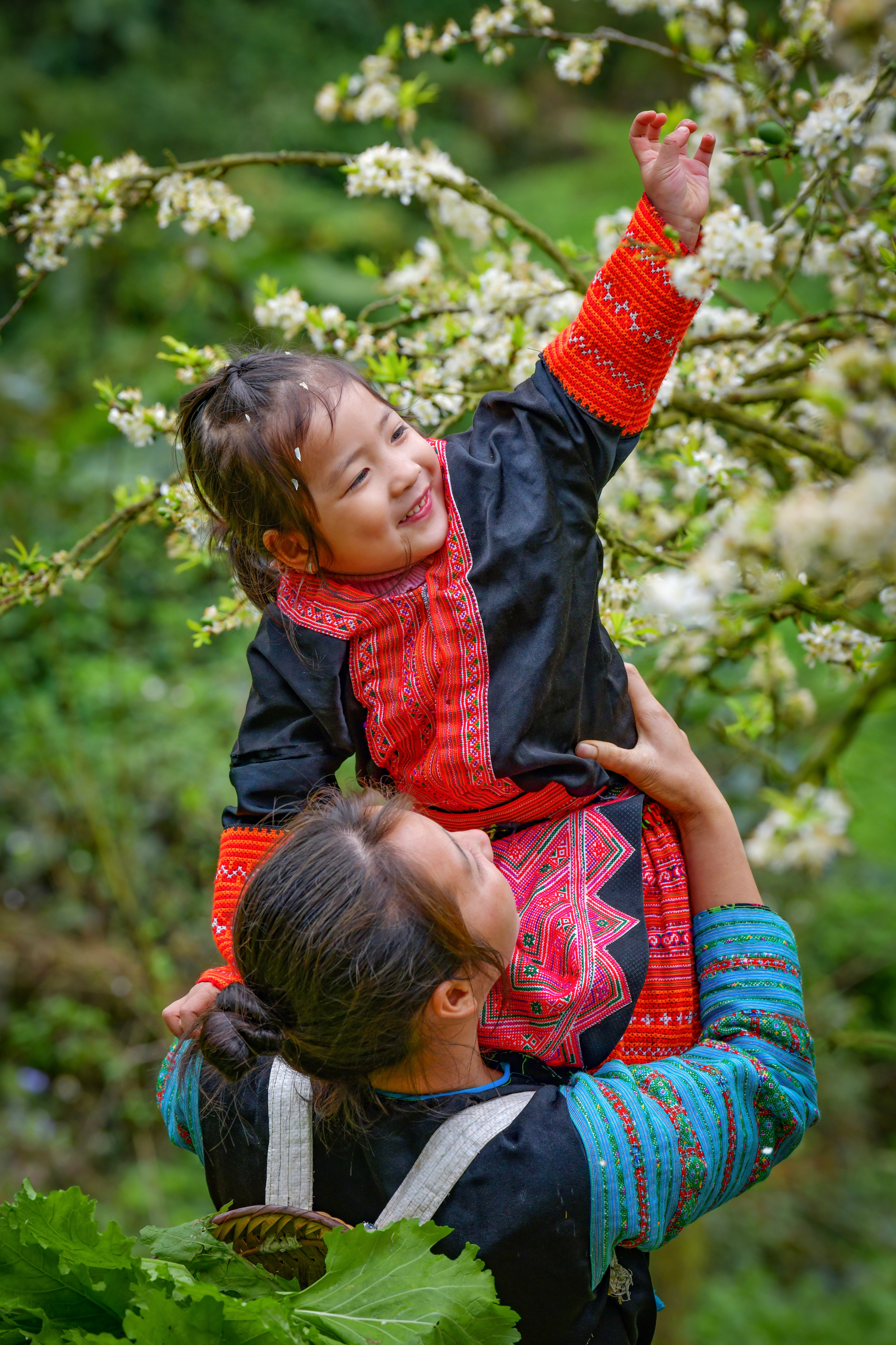 Mùa xuân của mẹ