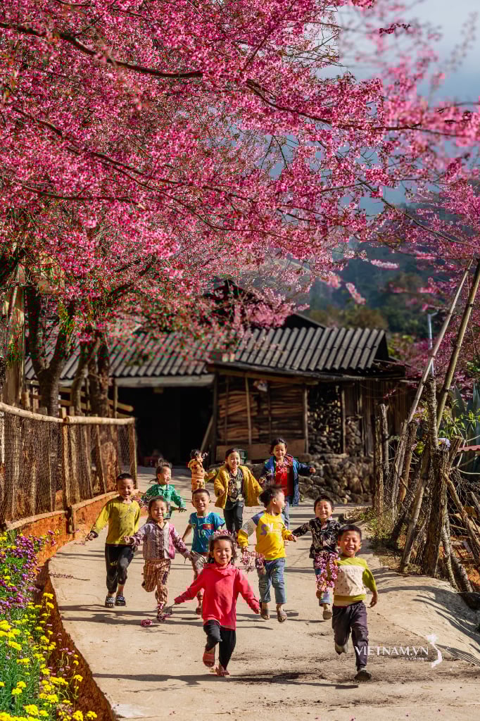 Niños en las tierras altas de Nghe An.