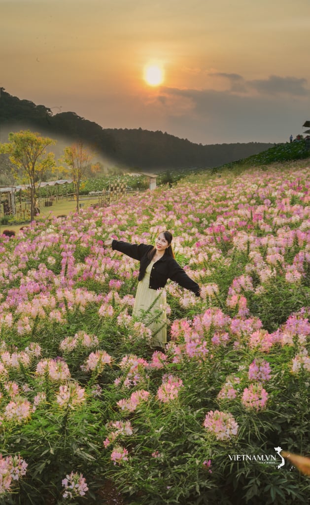 Ich bin glücklich, in einen Sonnenuntergang in Dalat einzutauchen