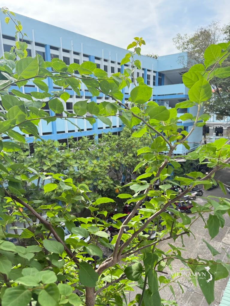 Happy workplace with nature