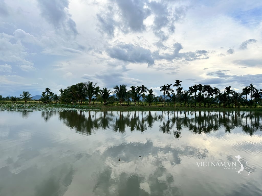 ស្រមោលដើមឈើ