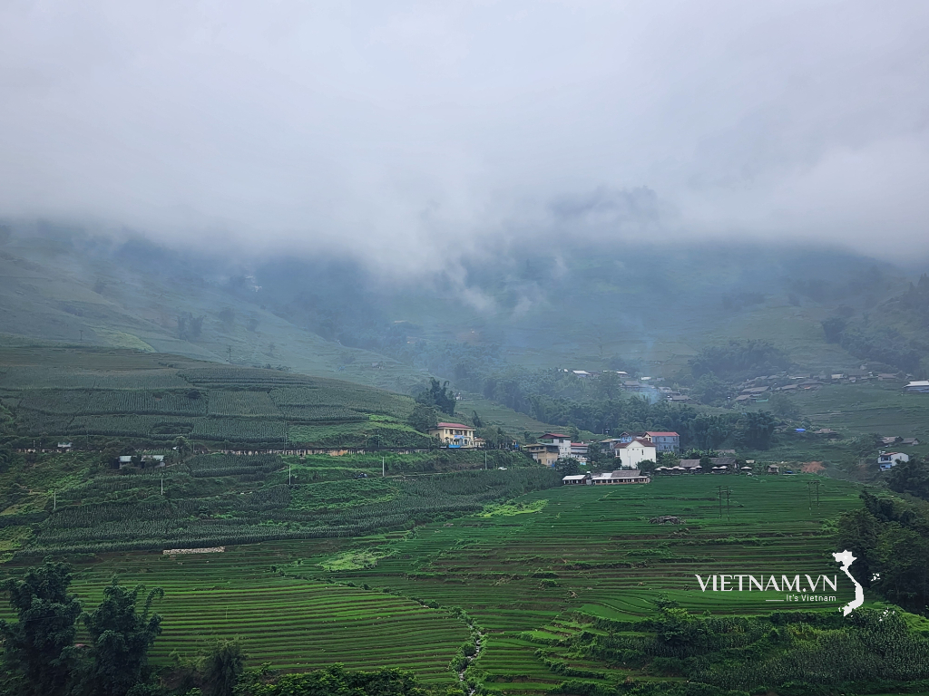 Sapa kabut