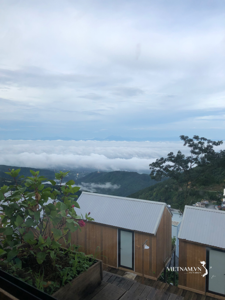 Tam Dao