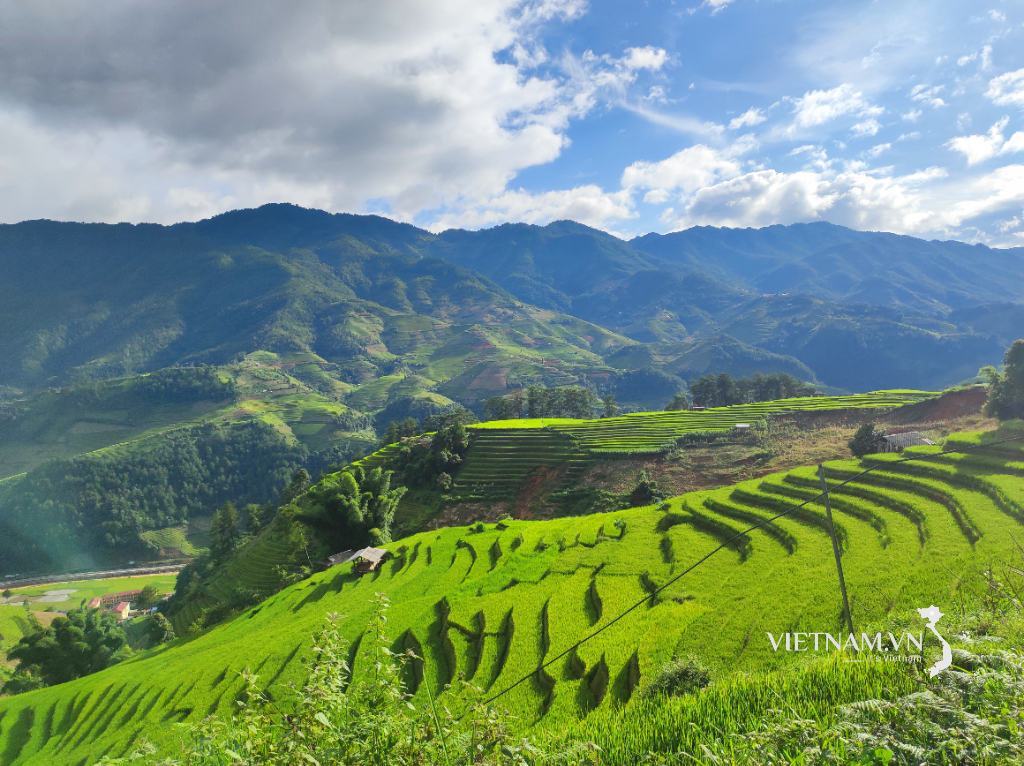 Mu Cang Chai 2025