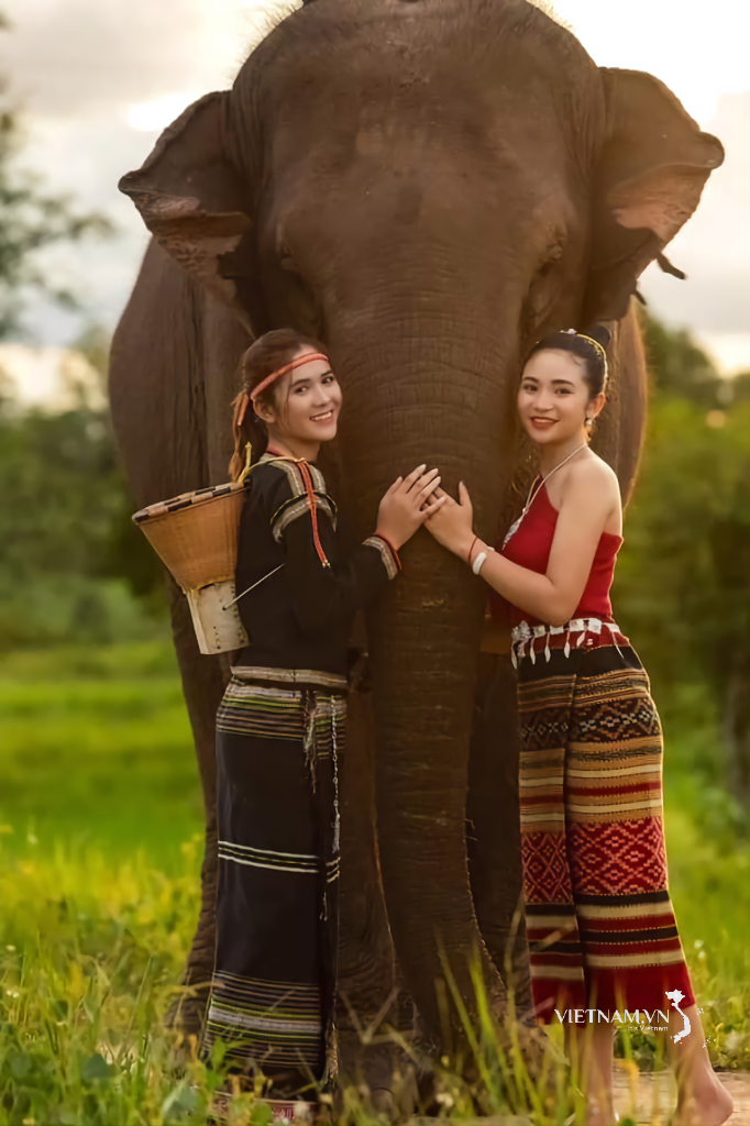 Chú voi ở bản