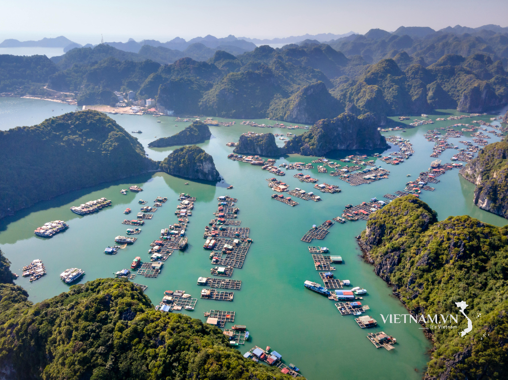 majestuosa naturaleza vietnamita