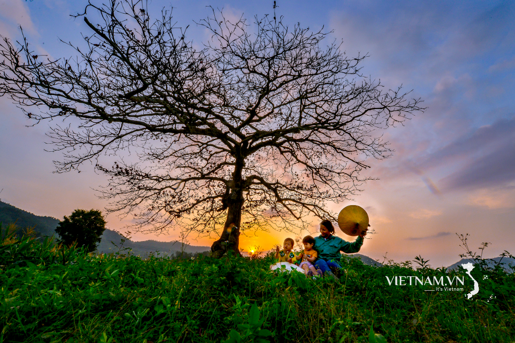 តាមម្តាយទៅវាល