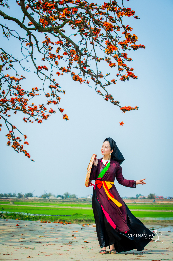 ភាពទាក់ទាញរបស់ Quan Ho