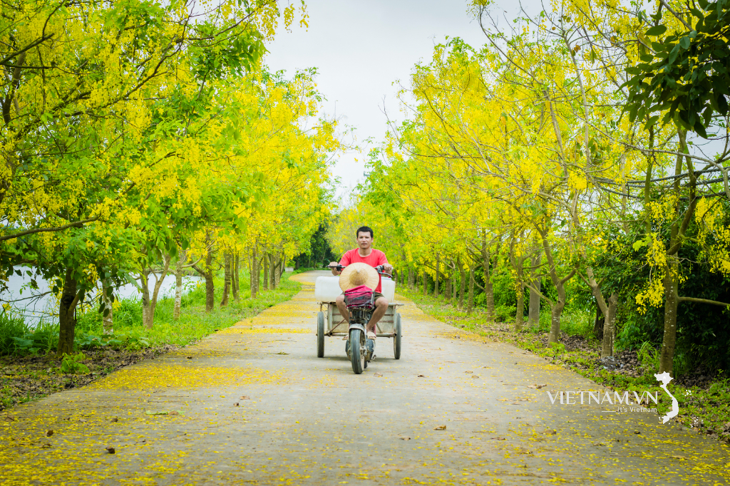 CARRY THE WHOLE AUTUMN