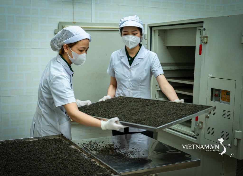 Đặc sản từ trà sen Đồng Tháp-5