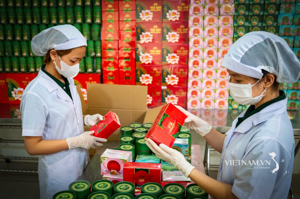 Đặc sản từ trà sen Đồng Tháp-7