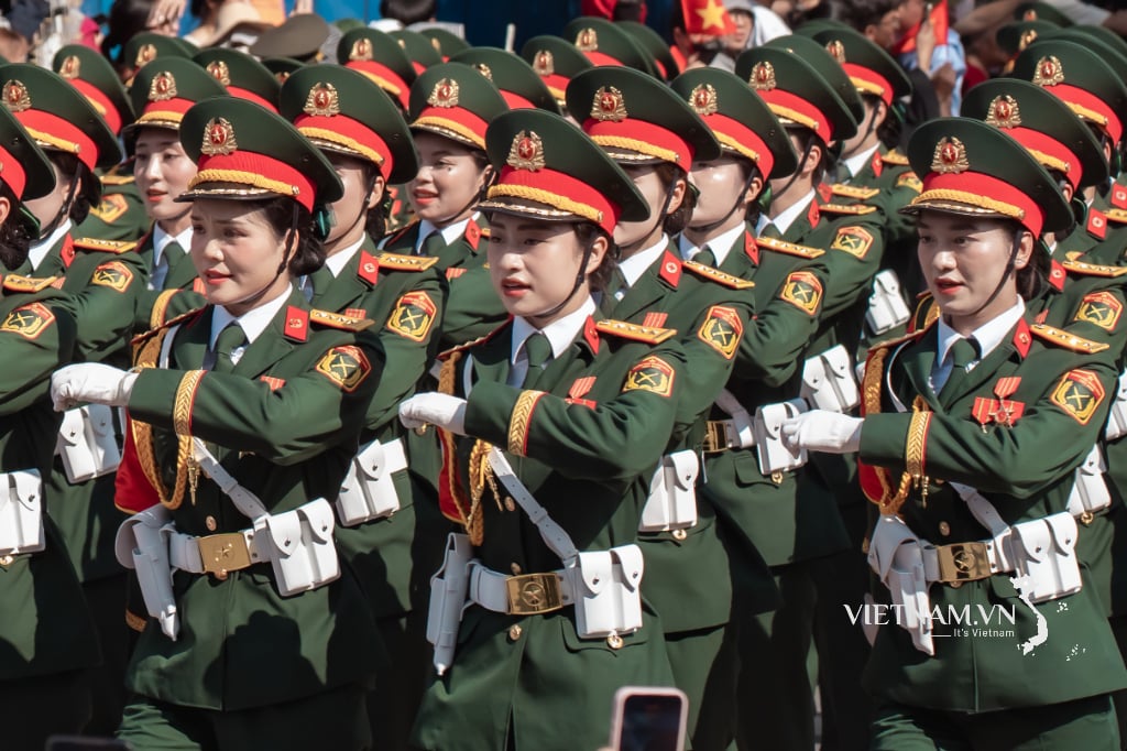 Đi Giữa Hòa Bình