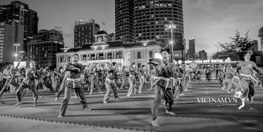THE ESSENCE OF VIETNAMESE MARTIAL ARTS-1