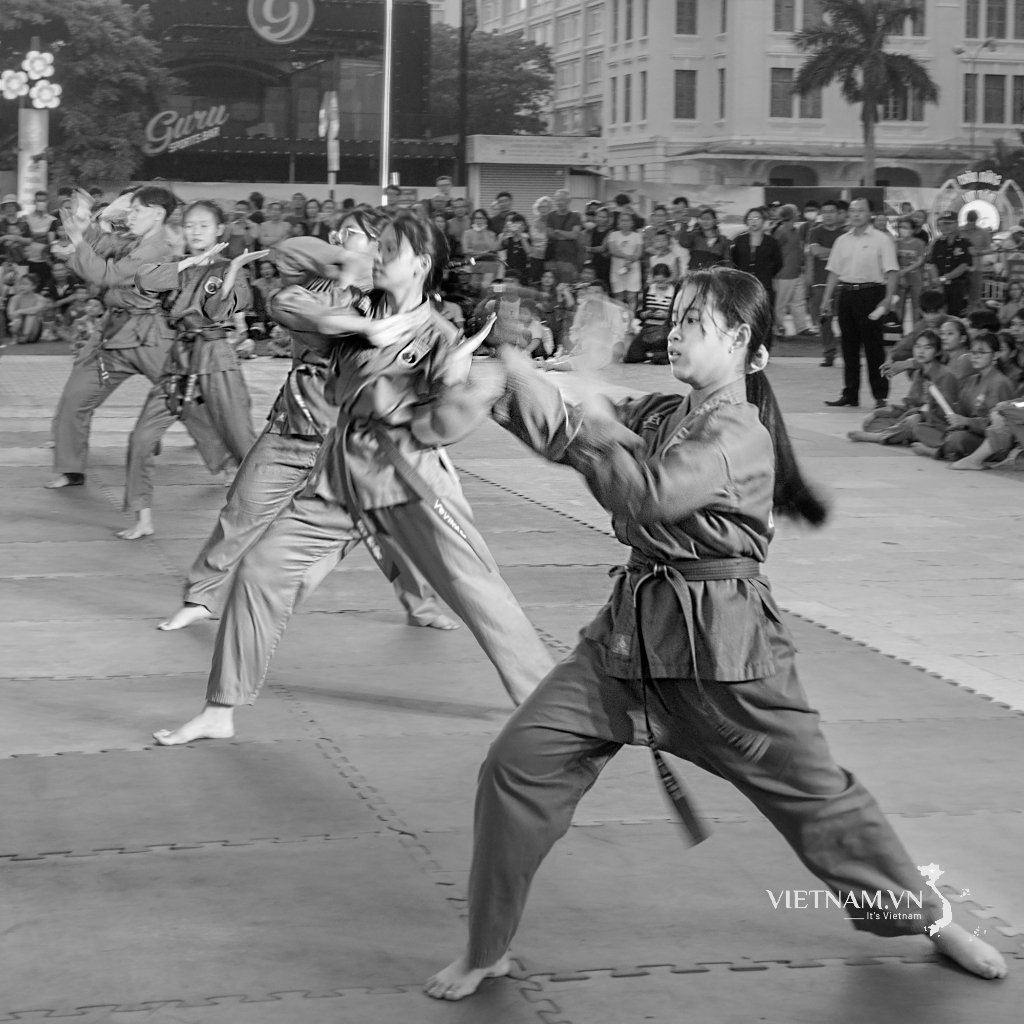 THE ESSENCE OF VIETNAMESE MARTIAL ARTS-2