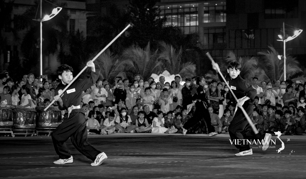 THE ESSENCE OF VIETNAMESE MARTIAL ARTS-3