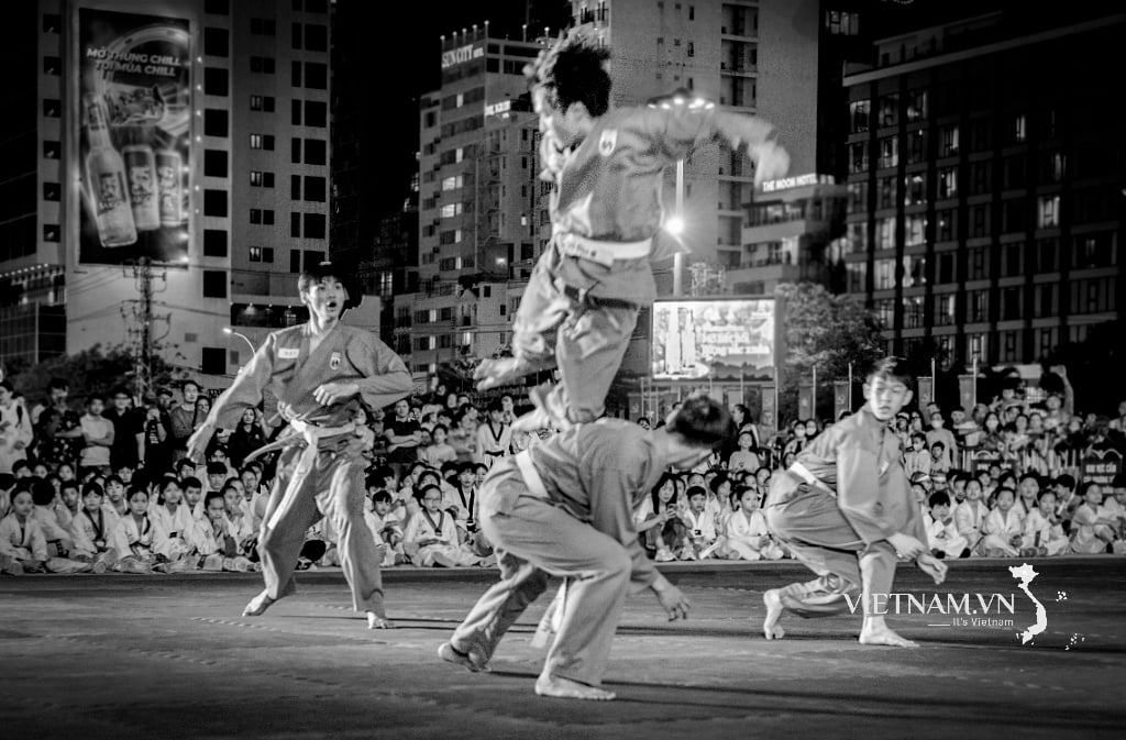 THE ESSENCE OF VIETNAMESE MARTIAL ARTS-6
