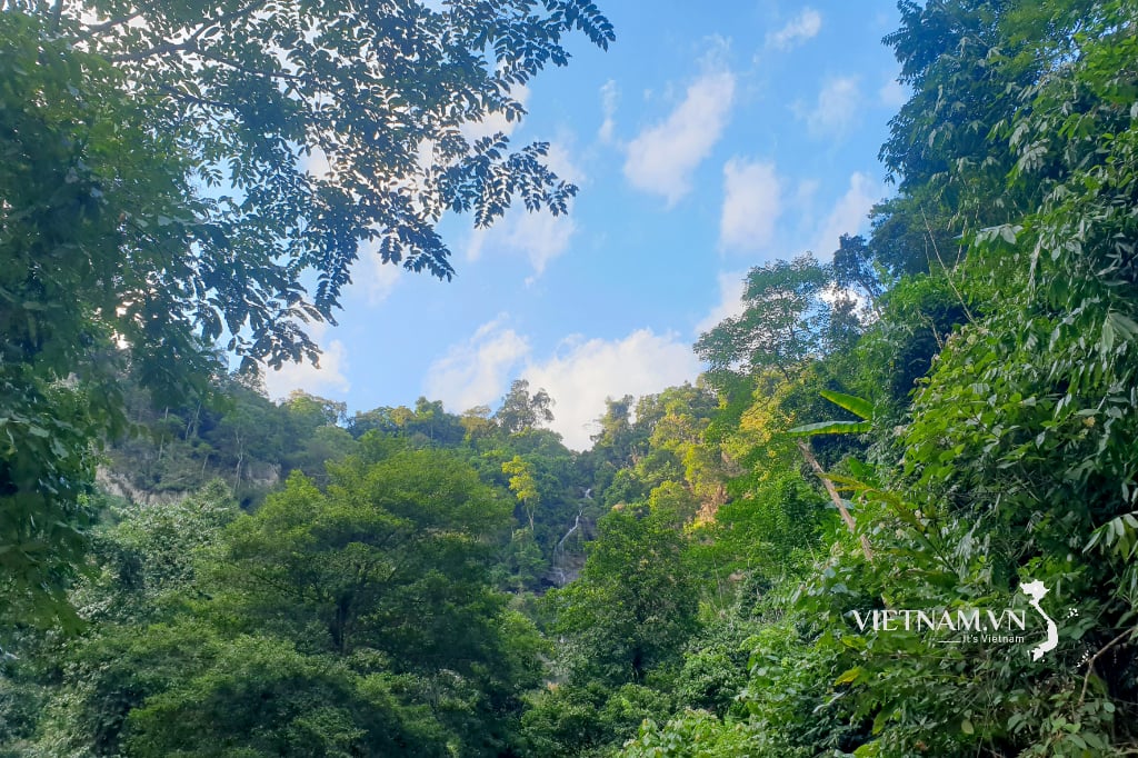 ទឹកជ្រោះខេម - ជាគោលដៅព្រៃនៅកណ្តាលព្រៃ-2