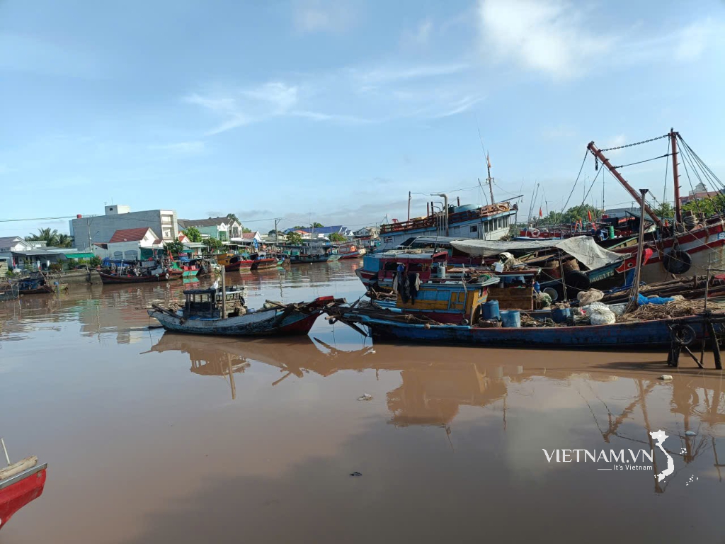 ชีวิตใหม่ของประชาชนในตำบลไดอัน จังหวัดหวิงลอง-2
