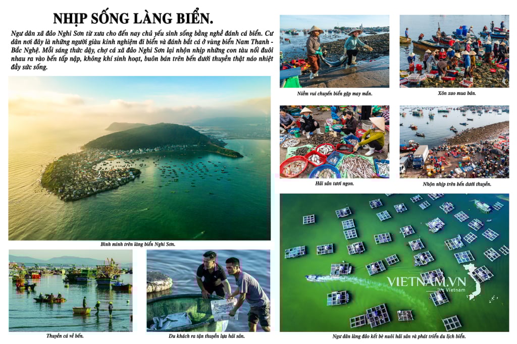 NHỊP SỐNG LÀNG BIỂN.