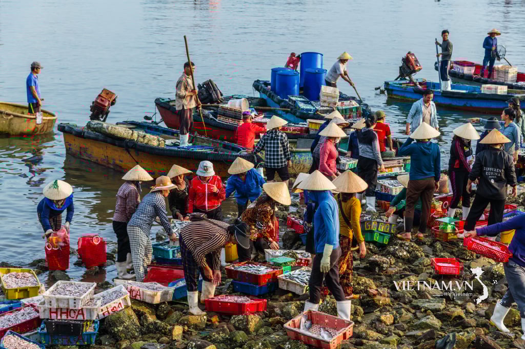 ចង្វាក់នៃជីវិតនៅភូមិសមុទ្រ។-៥