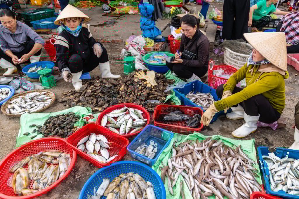 ចង្វាក់នៃជីវិតនៅក្នុងភូមិសមុទ្រ។-៦