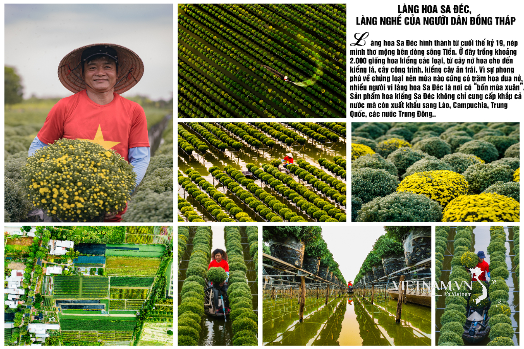 LÀNG HOA SA ĐÉC, LÀNG NGHỀ CỦA NGƯỜI DÂN ĐỒNG THÁP