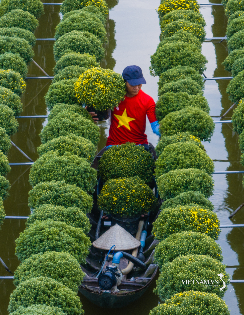 LÀNG HOA SA ĐÉC, LÀNG NGHỀ CỦA NGƯỜI DÂN ĐỒNG THÁP-8