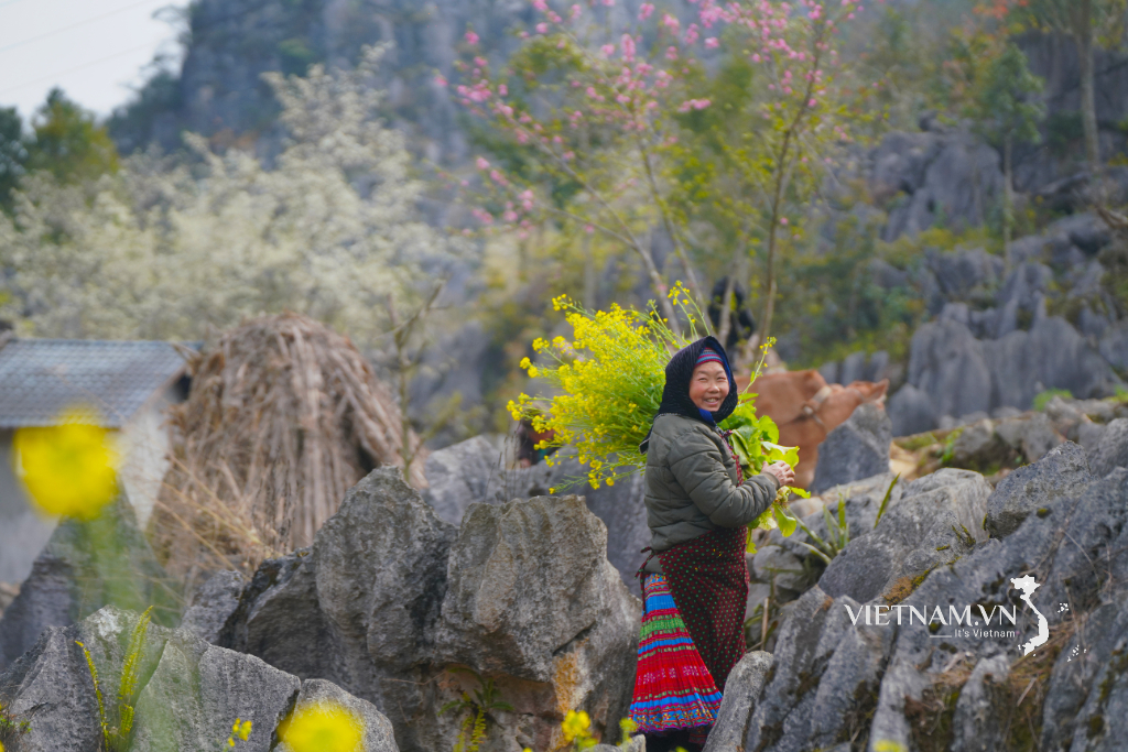 Vẻ đẹp say đắm của vùng cao nguyên đá khi mùa Xuân tới
