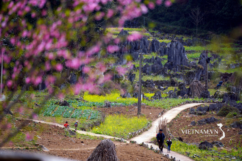 Vẻ đẹp say đắm của vùng cao nguyên đá khi mùa Xuân tới-1