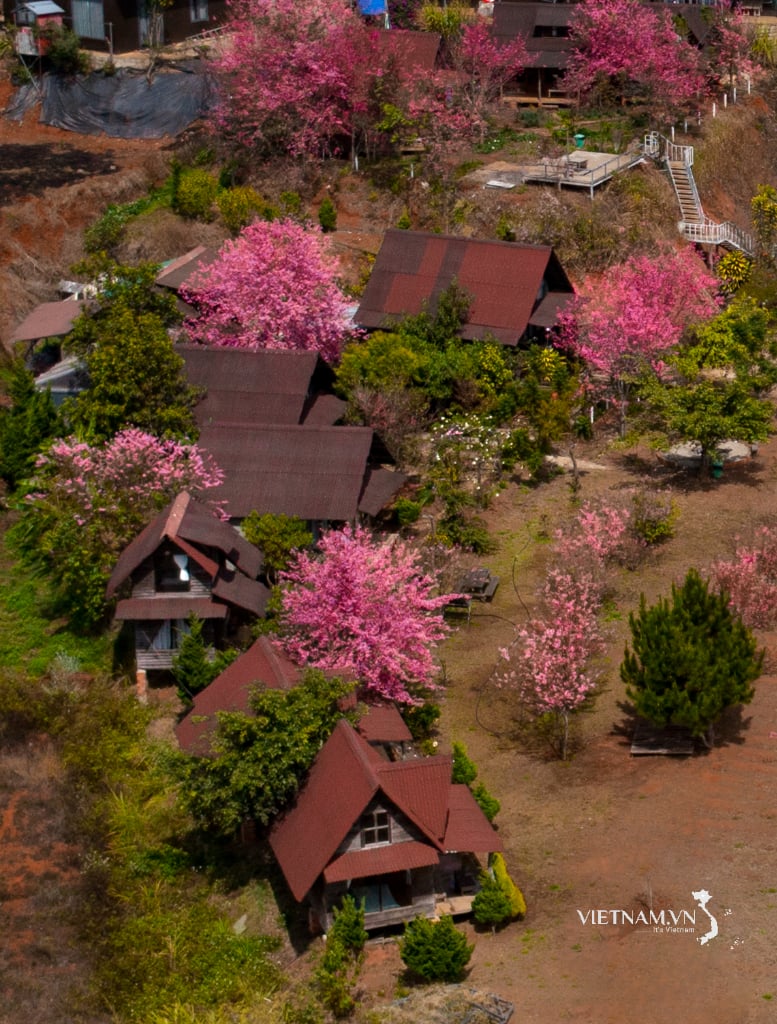 Spring arrives in the small village.