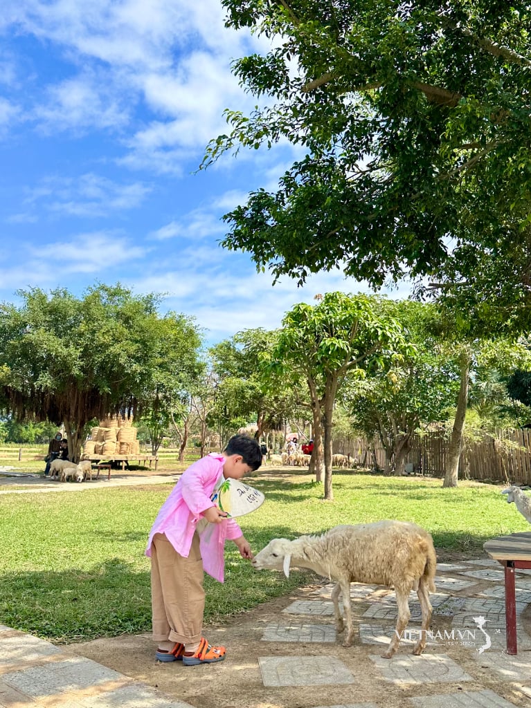 Gặp nhau giữa đồng cỏ