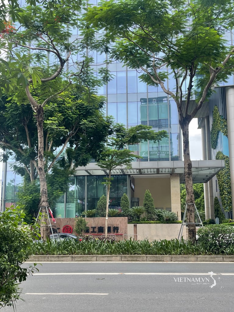 보다