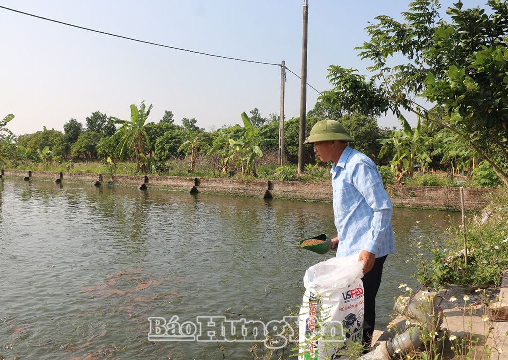 Ở tỉnh Hưng Yên,  - Ảnh 1.