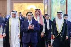 サウジアラビア、UAE、カタールはベトナムとの協力を非常に重視しており、ASEANとGCC間の協力の架け橋としての役割を果たしています。
