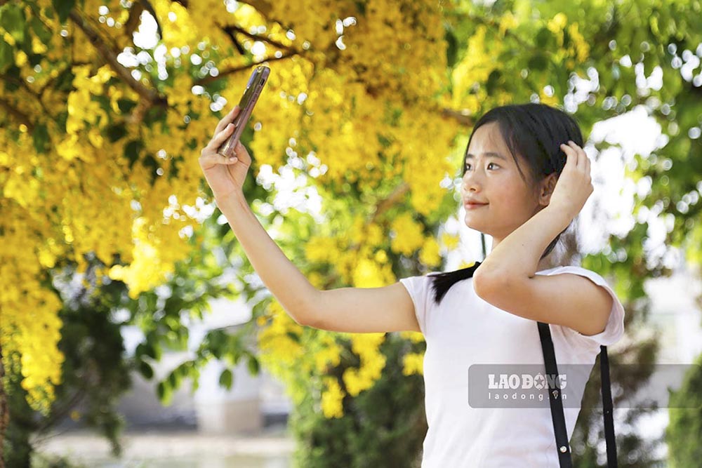 Nữ sinh Lò Thị Thảo cho biết, em và bạn bè chiều nào cũng ra đây ngắm hoa và chụp ảnh vì màu hoa vàng rất ấn tượng bên cạnh sắc đỏ của hoa phượng và sắc tím của hoa bằng lăng.