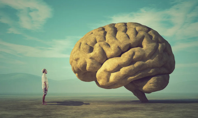 The human brain has been getting bigger over the decades. Photo: Orla