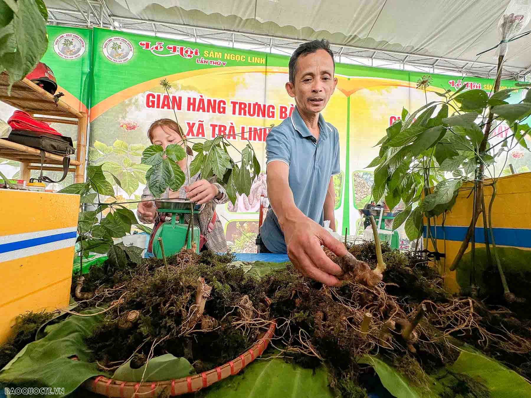 Quảng Nam: 60 gian hàng tham gia phiên chợ sâm Ngọc Linh