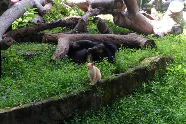 Chủ tài khoản 