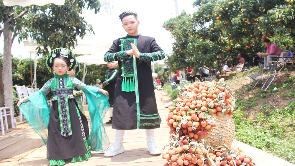 Fashion show in Luc Ngan lychee garden |=> Published in Bac Giang newspaper