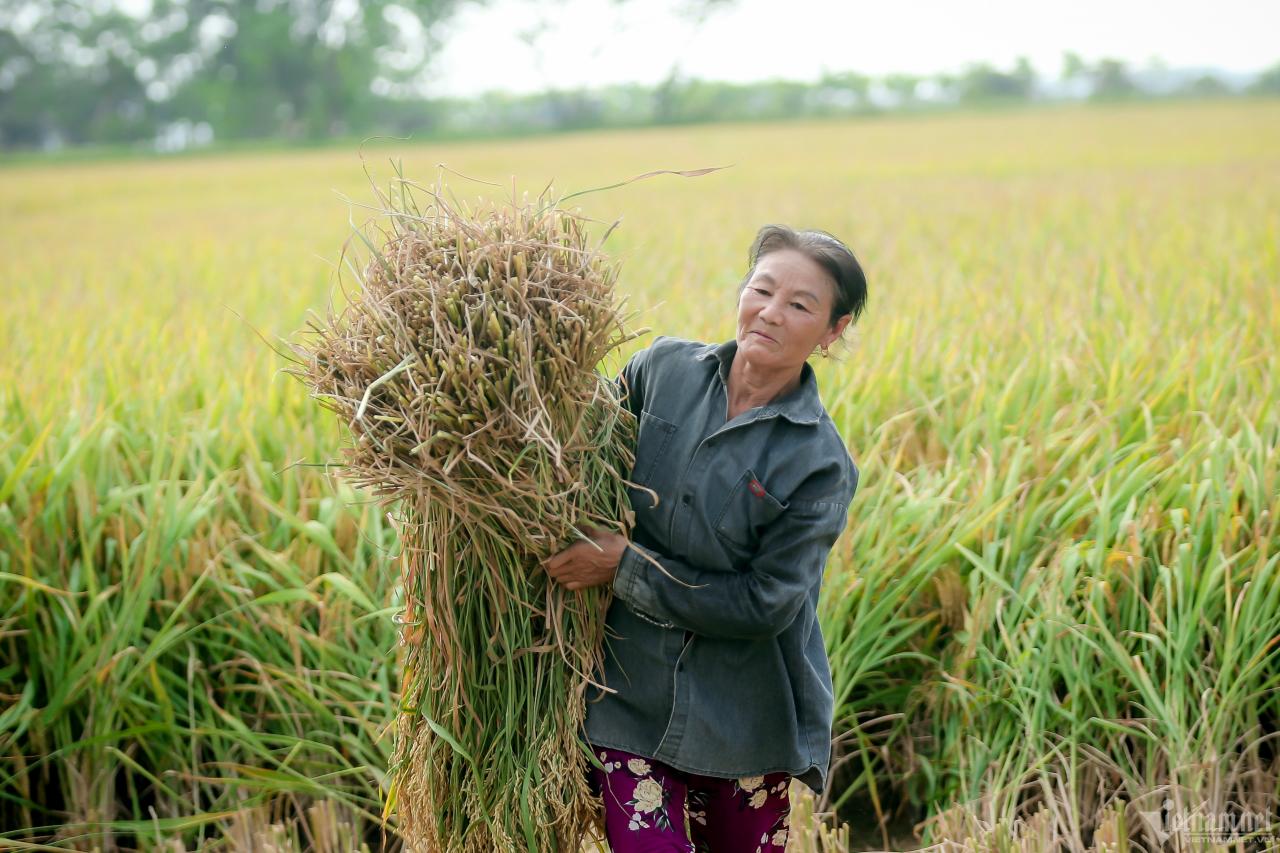 ว-ลัวเกา.jpg