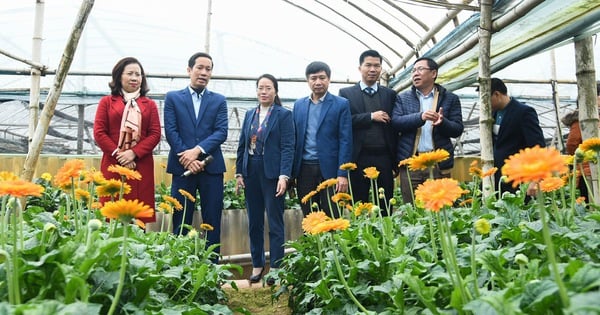 Hanoi Farmers' Association builds image of dynamic capital farmers