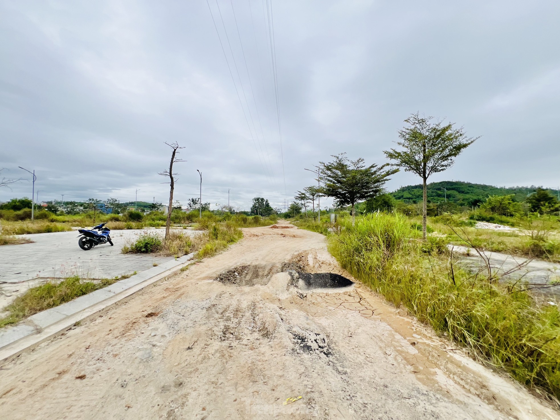 Pasto crecido y basura acumulada en un proyecto residencial de 400 mil millones de dólares en Quang Ngai, foto 13