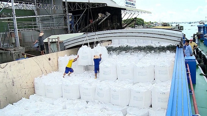 Giá gạo xuất khẩu thế giới vọt tăng sau động thái áp thuế gạo đồ của Ấn Độ