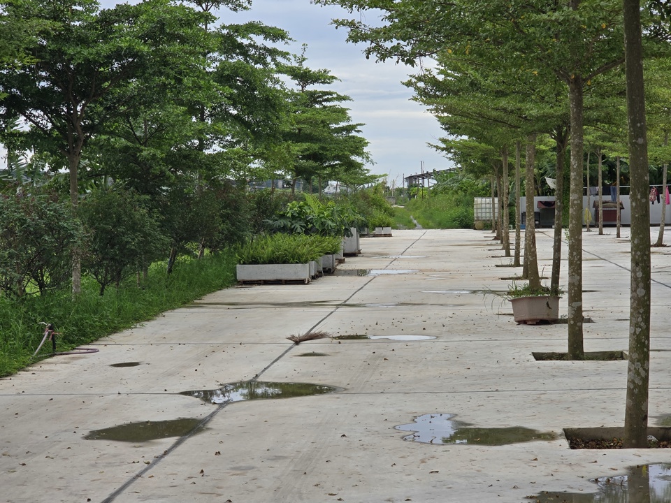 Des centaines de mètres carrés de digue deviennent le chemin privé du projet, coulé en béton massif et planté de nombreux arbres. Photo : Vinh Quan