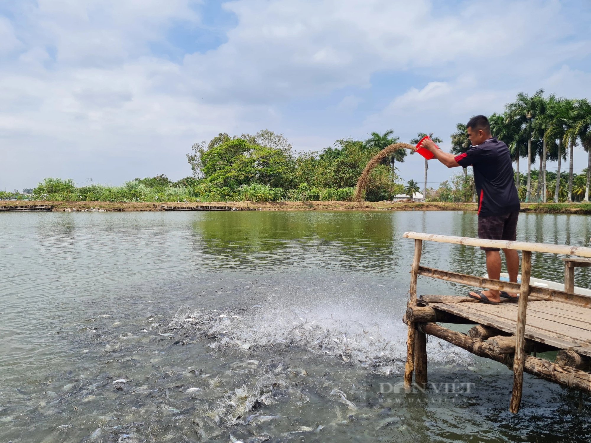 Mới đầu năm Trung Quốc đã chi tiền gấp 4,5 lần cùng kỳ năm ngoái để mua một loài cá của Việt Nam- Ảnh 1.