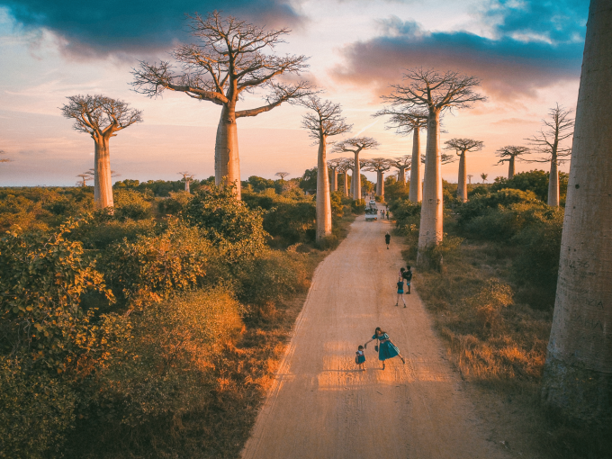 Mai Huong (robe bleue) et sa fille prennent des photos sur l'avenue des baobabs à Madagascar.